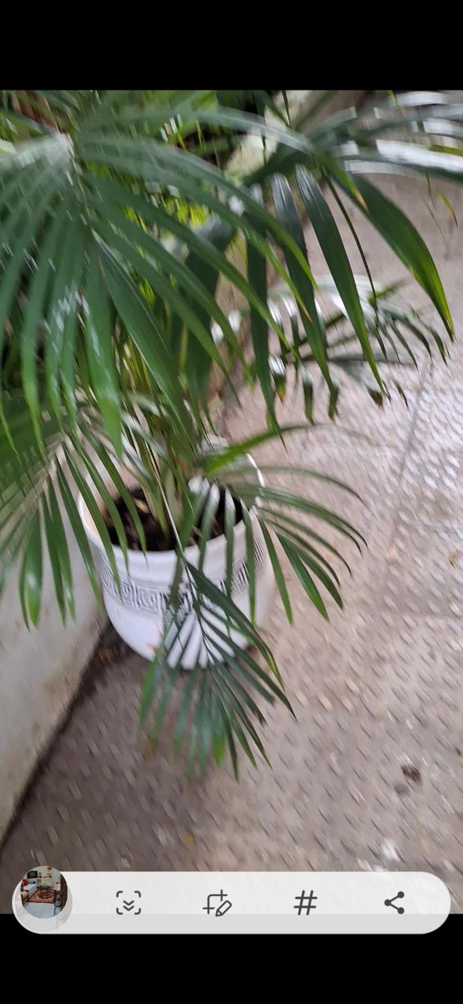 2Bhk Chandra Jyoti Villa Nit Garden Nagpur Esterno foto
