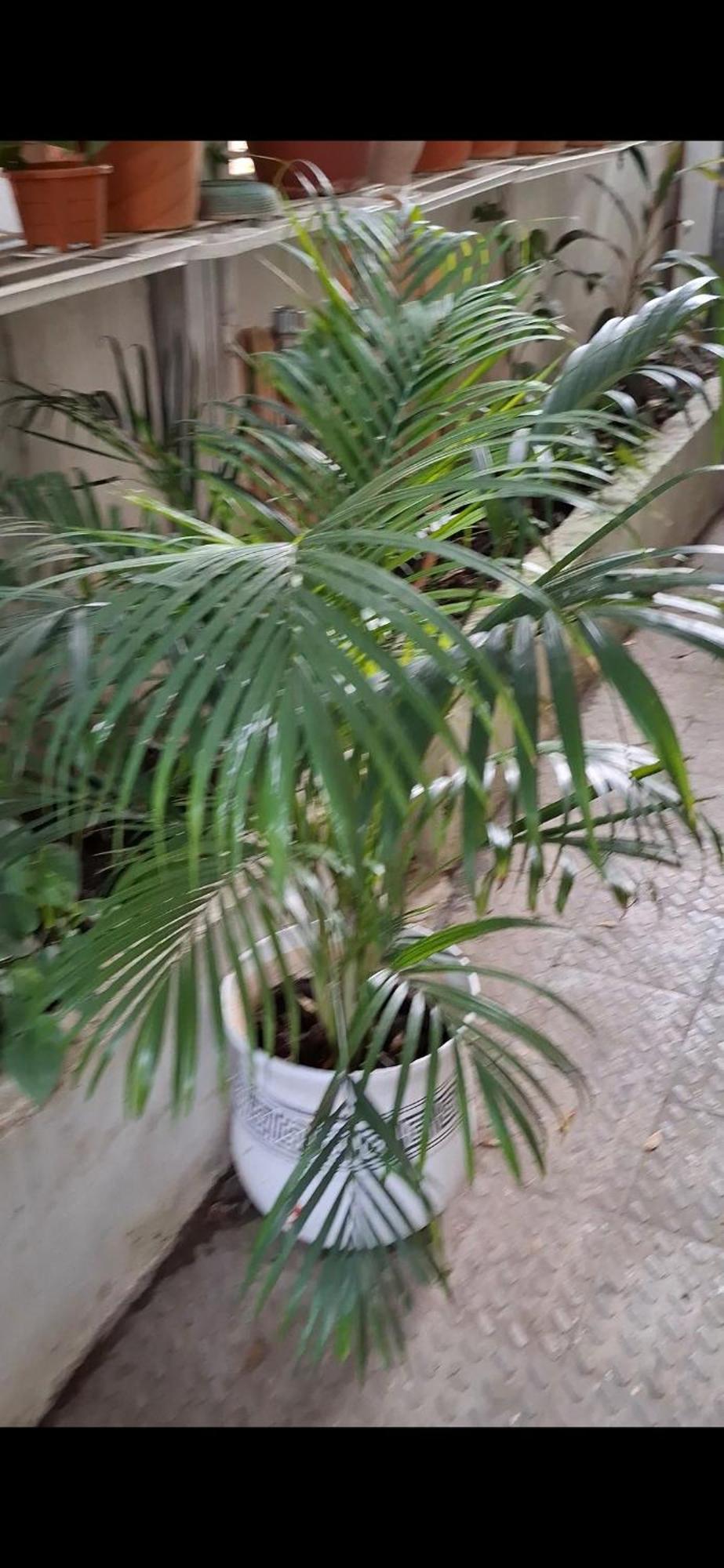 2Bhk Chandra Jyoti Villa Nit Garden Nagpur Esterno foto
