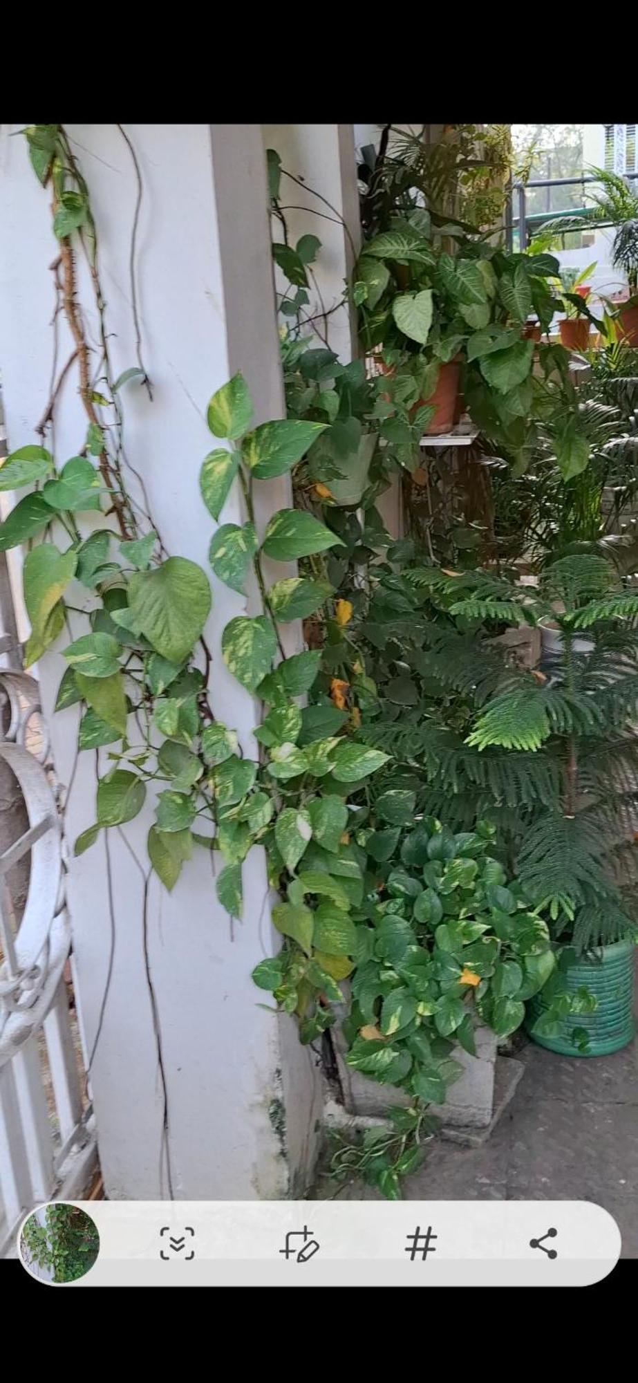 2Bhk Chandra Jyoti Villa Nit Garden Nagpur Esterno foto