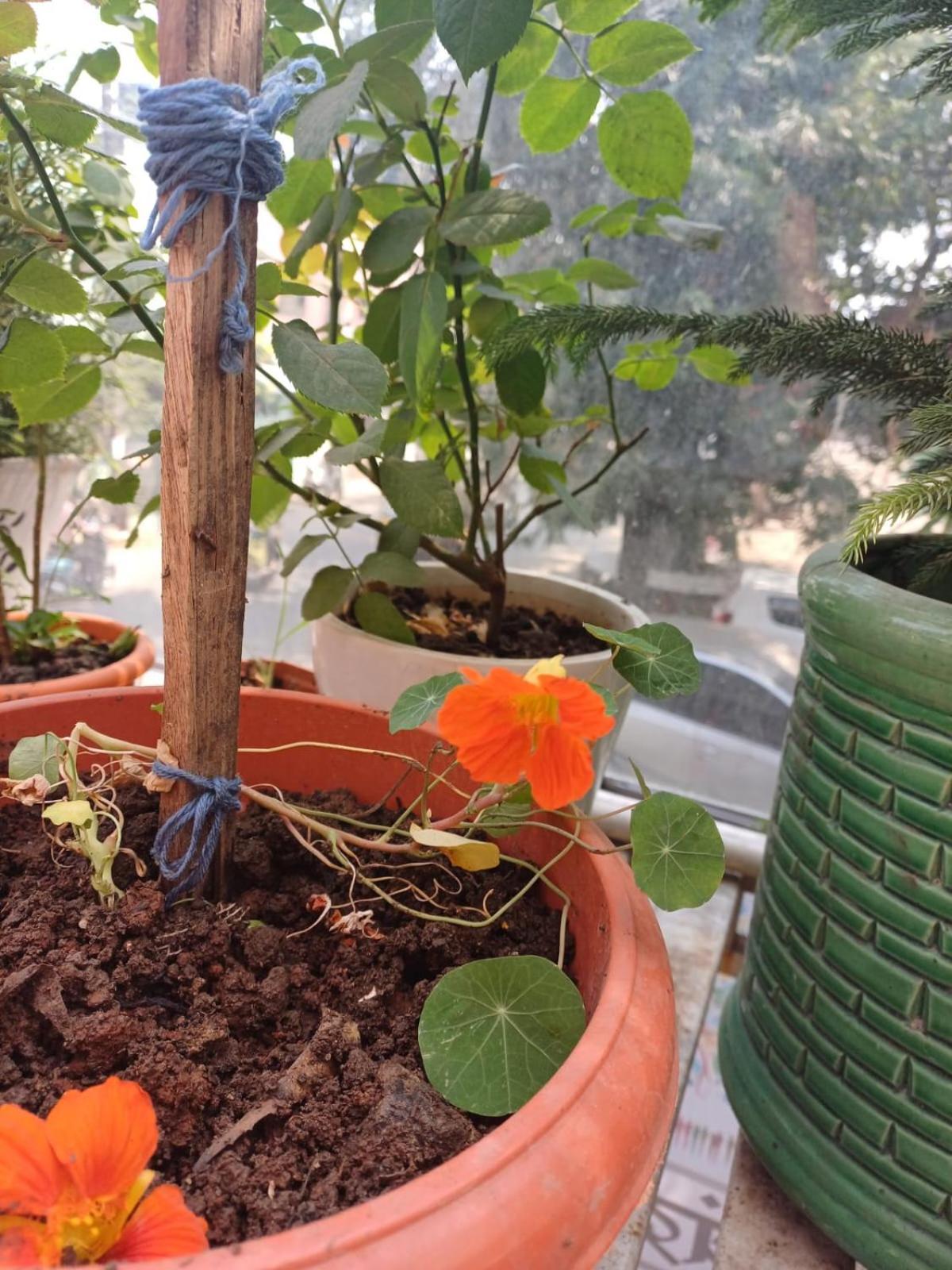 2Bhk Chandra Jyoti Villa Nit Garden Nagpur Esterno foto