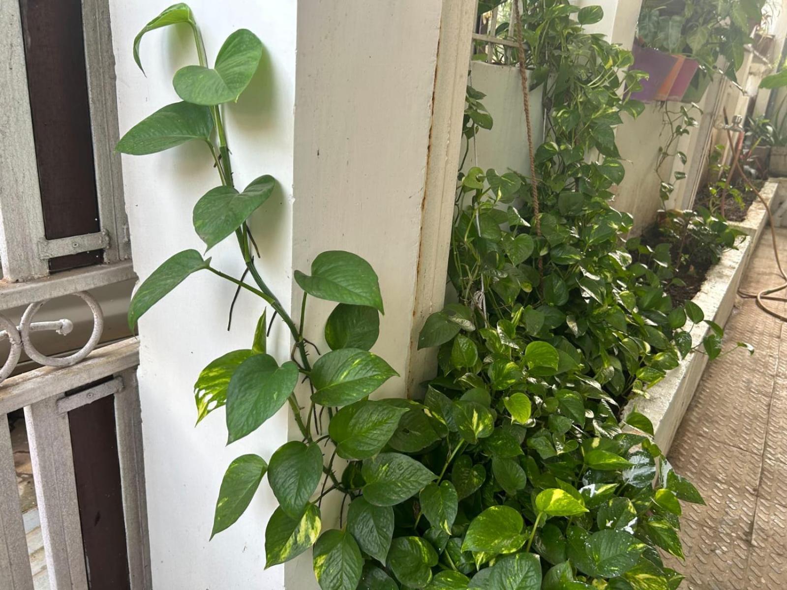 2Bhk Chandra Jyoti Villa Nit Garden Nagpur Esterno foto
